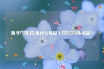 ​蓝牙耳机l和r是什么意思（耳机的l和r意思）