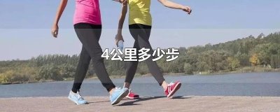 ​4公里多少步