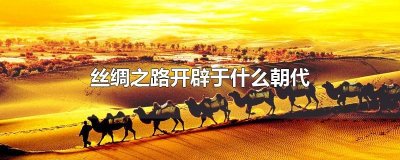 ​丝绸之路开辟于什么朝代
