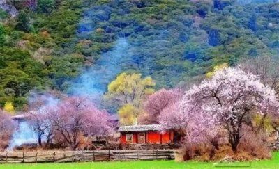 ​春季旅游最佳去处有哪些