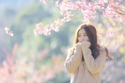​“樱花”用英语怎么说?