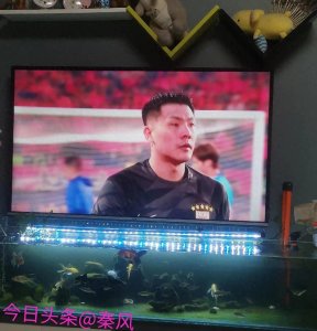 ​上港和鲁能谁才是中国足球的王者，鲁能真的就比上港差吗