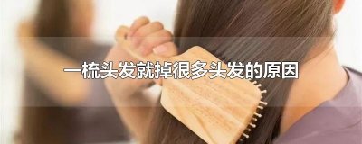 ​一梳头发就掉很多头发的原因
