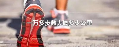 ​一万多步数大概多少公里