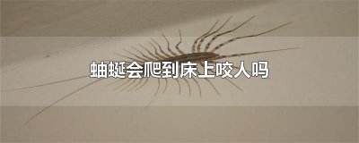 ​蚰蜒会爬到床上咬人吗