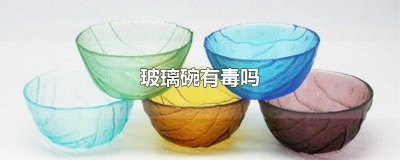 ​玻璃碗有毒吗