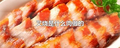​叉烧是什么肉做的