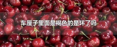 ​车厘子里面是褐色的是坏了吗