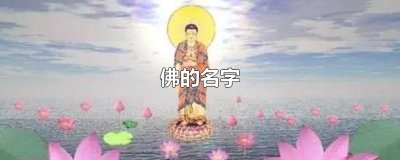 ​佛的名字