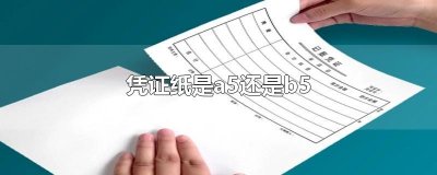 ​凭证纸是a5还是b5