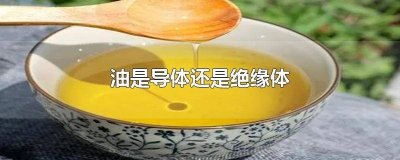 ​植物油是导体还是绝缘体 酱油油是导体还是绝缘体