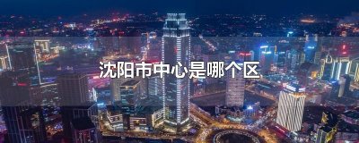 ​沈阳市中心是哪个区