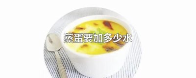 ​蒸蛋要加多少水