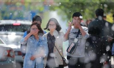 ​柳絮过敏怎么治疗