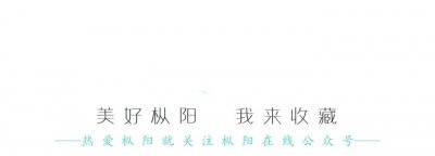 ​纵览 | 每天一分钟，一览枞阳事