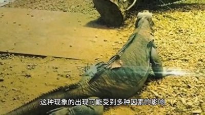 ​人死后多久会出现尸斑？