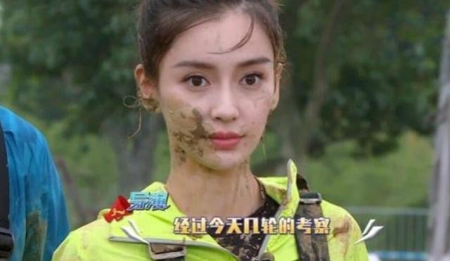 杨颖个人资料介绍（身价过亿的杨颖没你想得那么简单）
