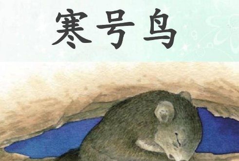 寒号鸟的故事告诉我们什么道理,寒号鸟这篇课文告诉我们了图4
