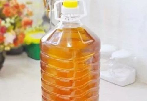 过期的食用油怎么处理