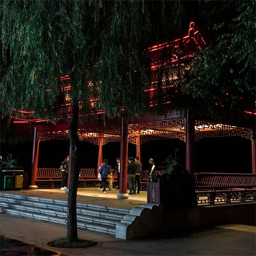 吉林：临江市江心岛陈云公园夜晚十分美丽