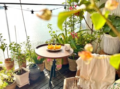 ​风信子有毒吗适合室内养吗（5种花很美却“有毒”，天冷后可别卧室养，不是忽