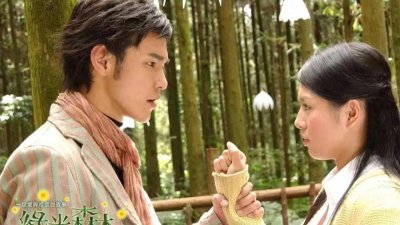 ​娱乐圈中的自我坚持：刘品言的恋情经历与成长