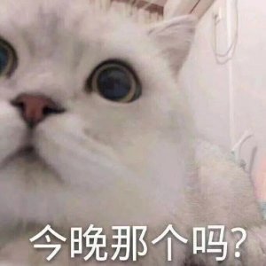 ​表情包：哄女朋友的可爱表情包合集