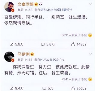 ​马伊琍和文章（再看文章、马伊琍的各自境遇）