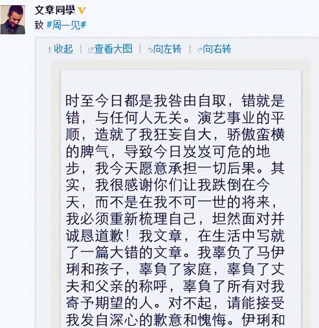 马伊琍和文章（再看文章、马伊琍的各自境遇）