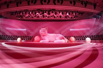 ​明星设计师张帅2023“猫”主题时装秀圆满落幕