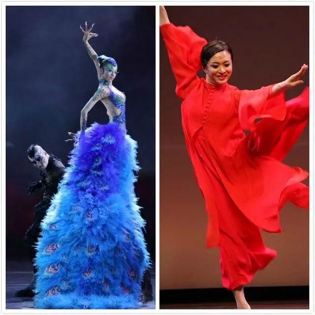 刘福洋骆文博事件(金星与杨丽萍综艺互怼始末)