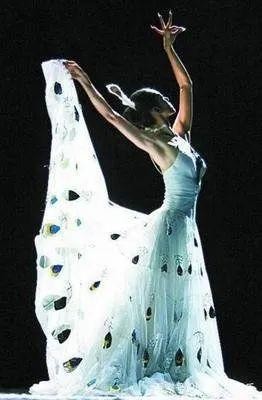 刘福洋骆文博事件(金星与杨丽萍综艺互怼始末)