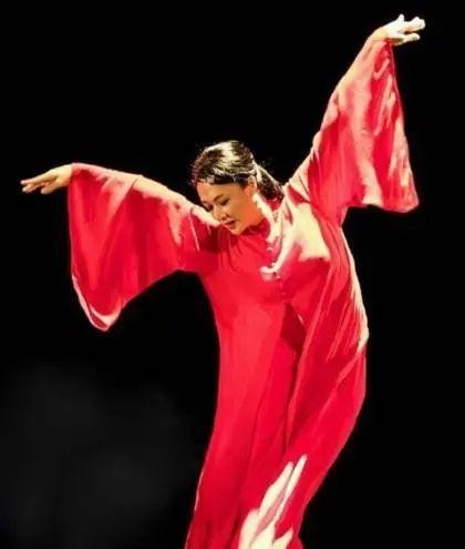 刘福洋骆文博事件(金星与杨丽萍综艺互怼始末)