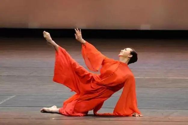 刘福洋骆文博事件(金星与杨丽萍综艺互怼始末)