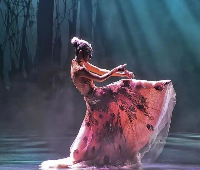 刘福洋骆文博事件(金星与杨丽萍综艺互怼始末)