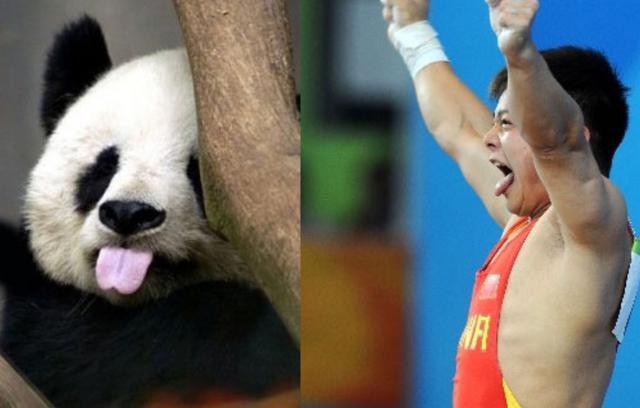 龙清泉老婆是谁（举重神童龙清泉介绍）