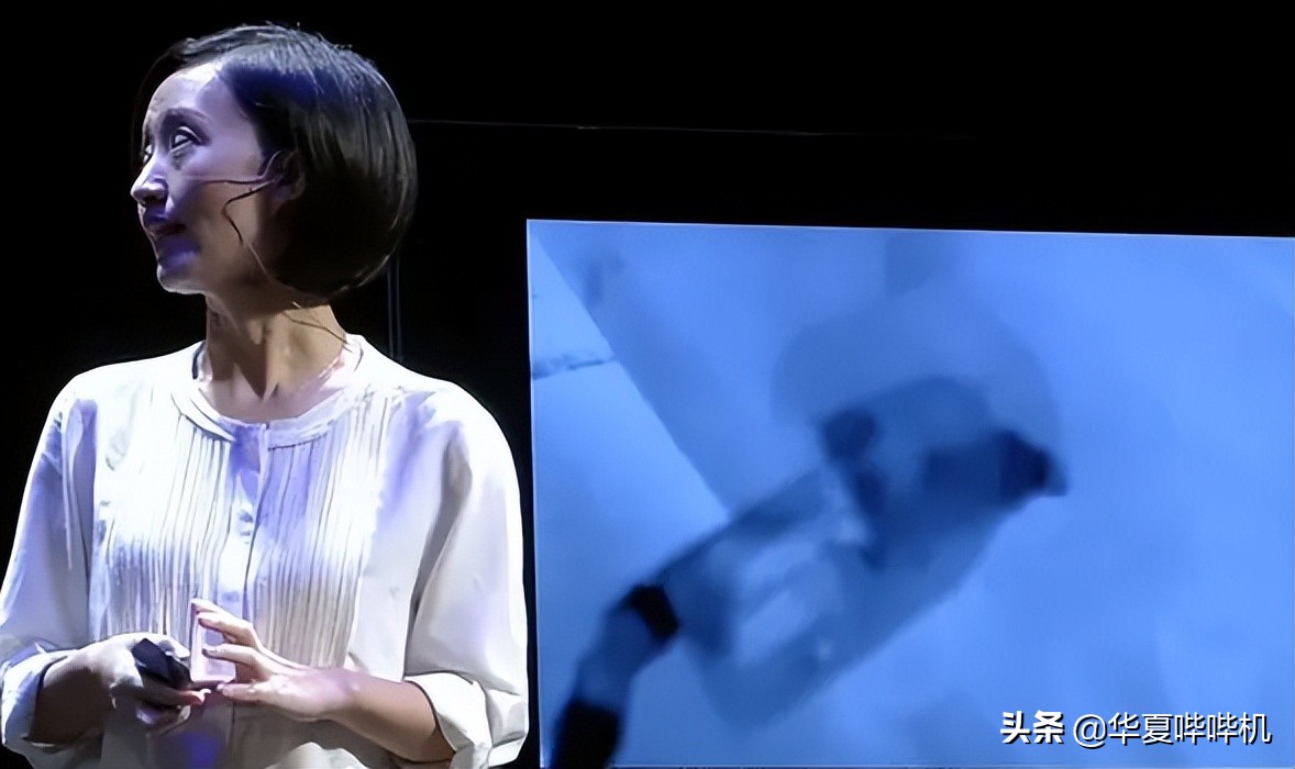 柴静荒唐且努力的半生，就这样为自己铺好了凉凉之路