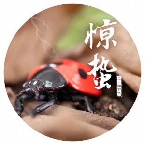 ​惊蛰节气
