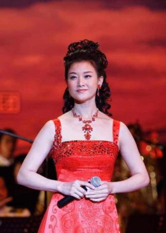 宋祖英的老公（宋祖英藏了27年的老公）(3)