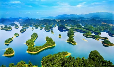 ​浙江企业名录(浙江知名企业100强名单)