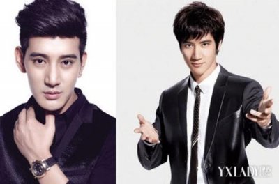 ​蒲巴甲王力宏（蒲巴甲和王力宏对比照）