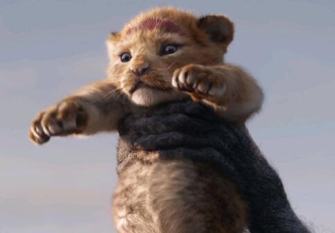 狮子王真人版是真狮子吗