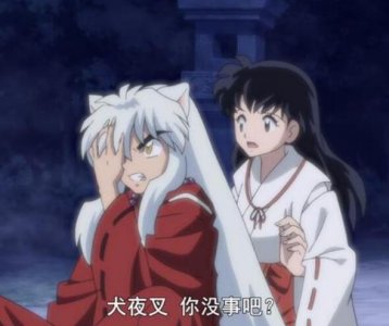 ​半妖的夜叉姬犬夜叉和戈薇去哪了