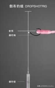 ​路亚人必须掌握的钓组—倒钓钓组