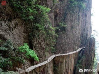 ​君临泰山42度多少钱(君临泰山42度价格)