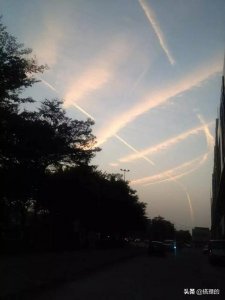 ​兰花御酒二十年价格(兰花御酒53度多少钱)