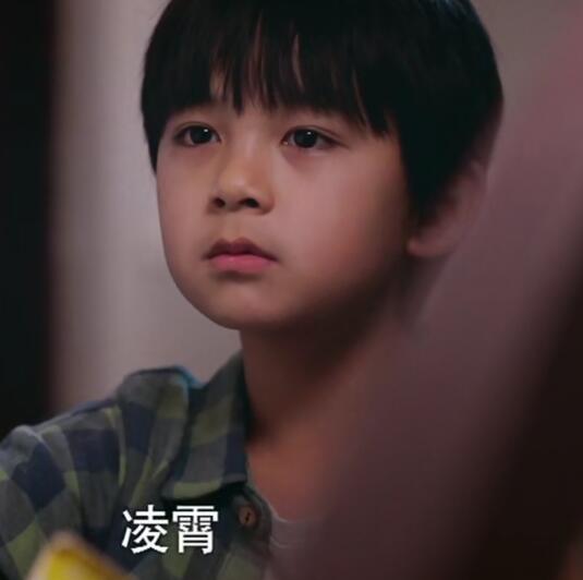 以家人之名凌霄爸爸妈妈怎么了 凌霄的妈妈为何离开他们