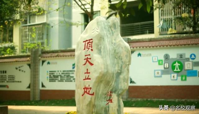 张艺谋狙击手最新评分（张艺谋新片狙击手全国热映）(12)