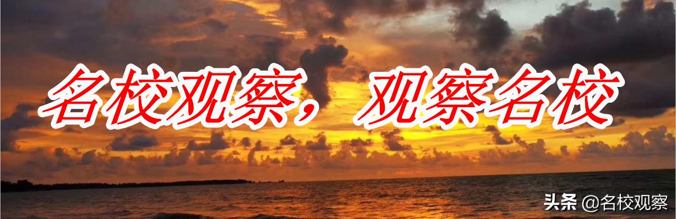 张艺谋狙击手最新评分（张艺谋新片狙击手全国热映）(1)