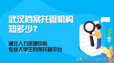 ​武汉档案人才市场可以提供哪些服务？